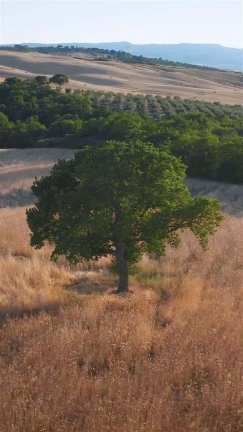 Travel around the Owrld 的图像结果