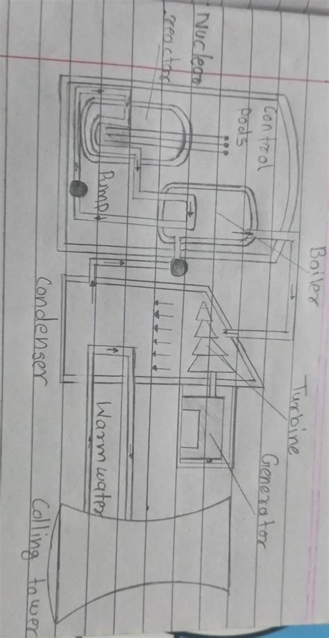 Explain the process used in this picture. And name it. - Brainly.in