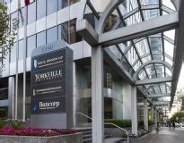 Yorkville University: Rankings, Courses, Fees