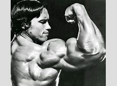 CUTE PICTURES SPORTS: Arnold Schwarzenegger Bodybuilding 