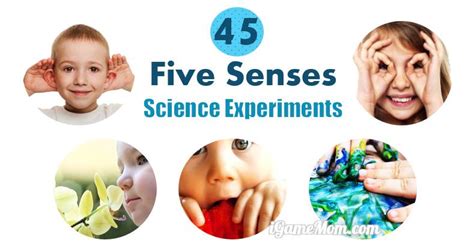 Taste Perception Experiment 的图像结果