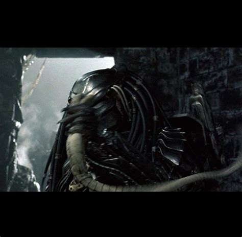 Image result for Alien vs Predator Chestburster