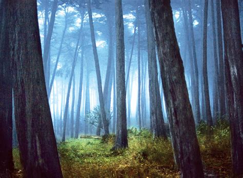 Why zoonotic diseases are fast spreading to humans