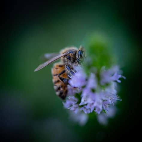 Understanding the 7 Elements of Photography - Hunter Hobson