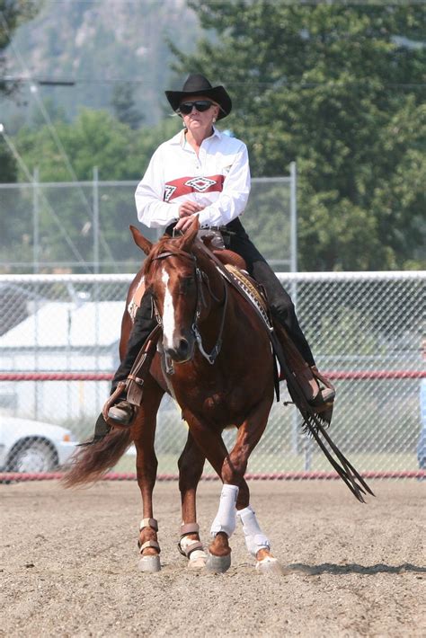 Image result for Reining Tutorials