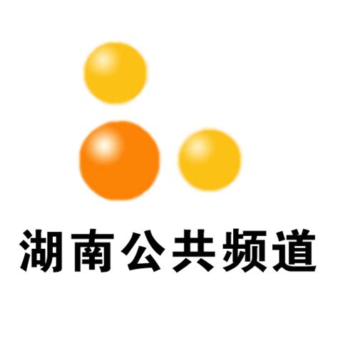 湖南电视台是湖南省最权威的电视机构:湖南卫视_网易娱乐