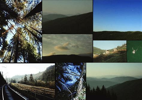 Photo Analysis Essay Example 的图像结果