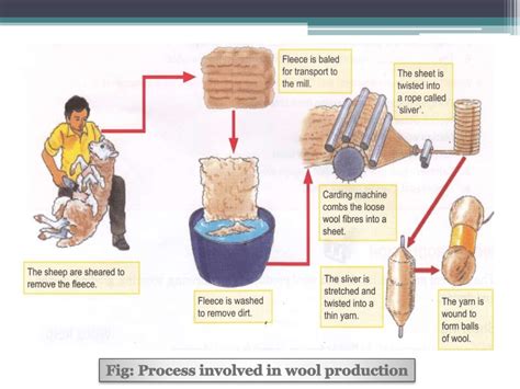Image result for Processing of Wool Class 7