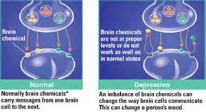 BODY DYSMORPHIC DISORDER , BDD , INCREASING SUICIDES – CAPT AJIT ...