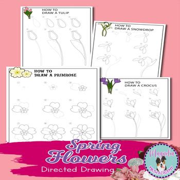 Image result for Step by Step Spring Drawing