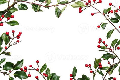 Festive holly berry border frame with green leaves and red berries ...