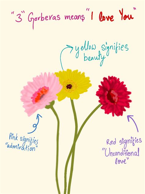 3 gerberas=i love you | Flower drawing, Flower meanings, Gerbera flower