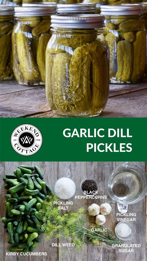 Old fashioned dill pickle recipe – Artofit