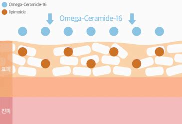 Shop ATOPALM Diaper Soothing Cream 60ml at the Best Price - Maccaron