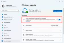 Image result for Windows Weekly Win 11 Updates