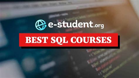 Image result for SQL PL SQL Best Courses