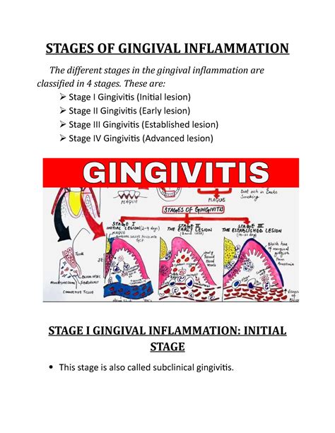 Stages OF Gingival Inflammation - STAGES OF GINGIVAL INFLAMMATION The different stages in the ...