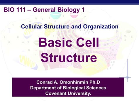 Image result for Cell Basic