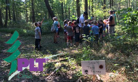 Image result for Project Learning Tree Activities