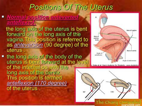 humansystemsystemofreproductive-female-090914سمناار005925-phpapp02.pdf