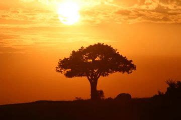 Lamu Cultural Festival 2026, Kenya - Venue, Date & Photos