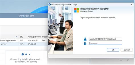 Image result for Encrypt SAP Control Connection