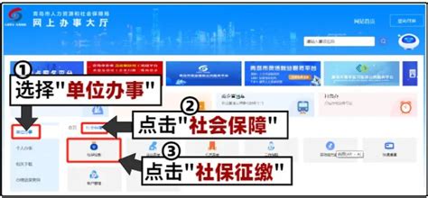 青岛不动产登记网上预审平台全面开通 指南收好 - 青岛新闻网