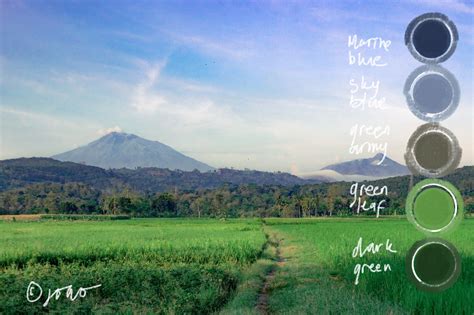 Nature Color 的图像结果