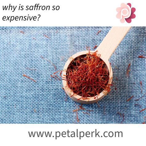 What Makes Saffron So Expensive? Untold Truth Revealed.