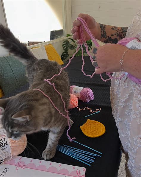 The Caffeinated Cat Cafe (@thecaffeinatedcatcafe_ca) • Instagram photos ...