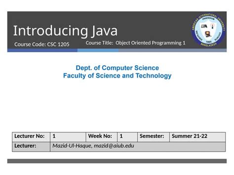 Java Lecture 的图像结果