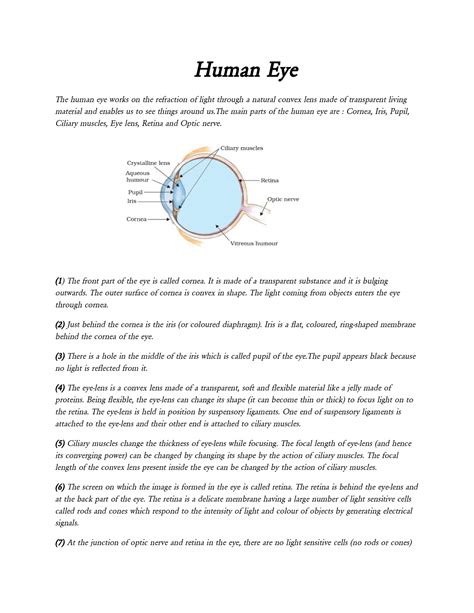 Human Eye - It's a lecture note - Human Eye The human eye works on the ...