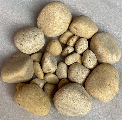 Stonestories Snow Rainforest Brown, Divine Gold Stones Pebbles for ...