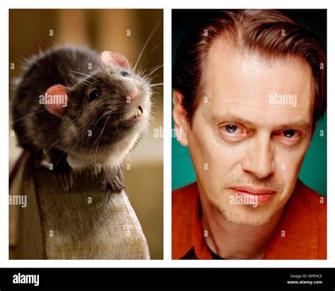 Templeton charlotte’s web hi-res stock photography and images - Alamy