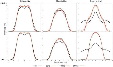 Addressing the Structural Organization of Silicone Alternatives in ...