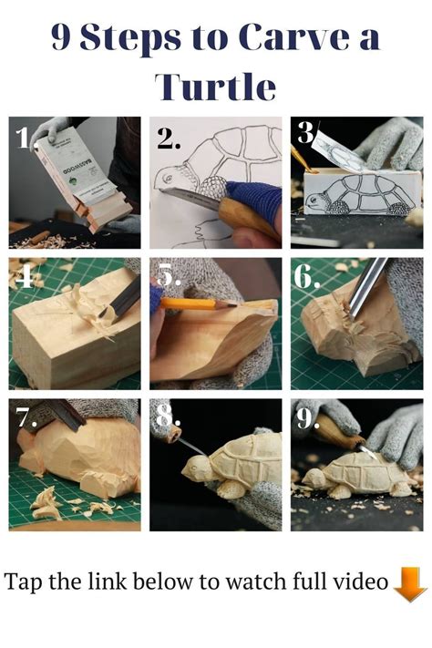 Image result for Turtle Tutorial