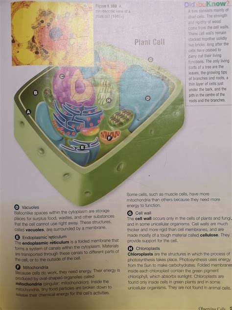 Science Text 的图像结果