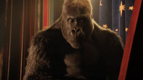 57 Best Pictures Ivan The Gorilla Movie Disney Plus / The One And Only ...
