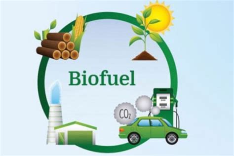 BIOFUEL தான் எதிர்காலம்.. ஜி20 நாடுகளுக்கு முக்கிய அழைப்பு விடுத்தார் ...