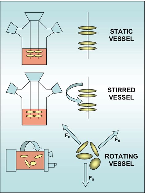 Image result for Tissue Engineering Bioreactor