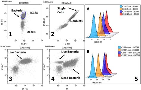 Flow Cytometric Analysis of Oxidative Stress in Escherichia coli B ...