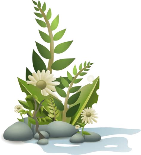 植物花草PNG免扣图-PPTer吧