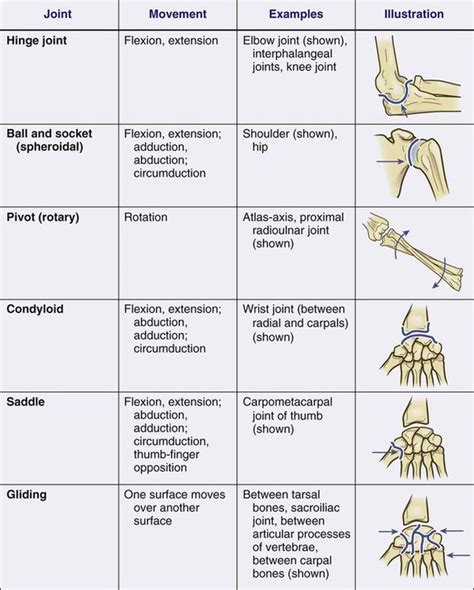 Three Types of Structural Classifications of Joints 的图像结果