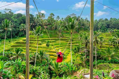 48 Things To Do In North Bali: Never Any Need To Be Bored