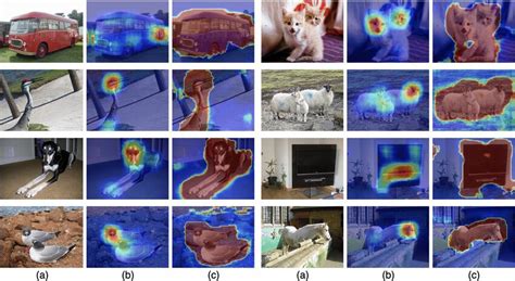 Image result for Scam Tracking Map