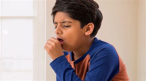 Whooping Cough (Pertussis): Causes, Symptoms, Treatment and Prevention ...
