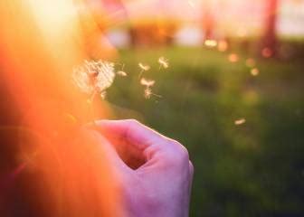 Retos virales, todas las noticias - Deporte y Vida - AS.com