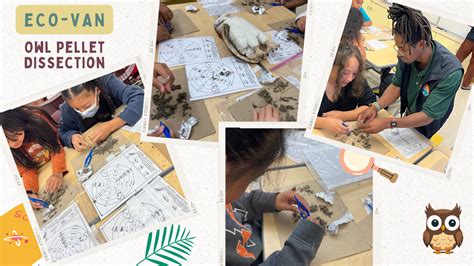 Our Magnet Program – Magnet Program – Dr. Sammy Lee Medical & Health ...