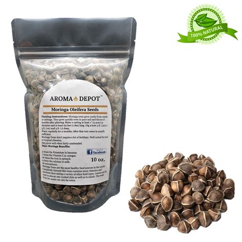 Buy Moringa 10 oz. (Approx. 1000) WINGLESS Sun-Dried, PKM1, 100% ...