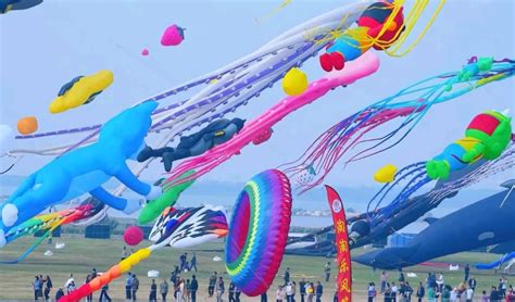 Image result for Spring Inheritance